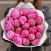 19 розовых пионов Флеминг